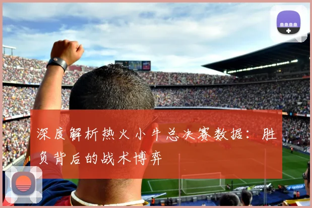 深度解析热火小牛总决赛数据：胜负背后的战术博弈