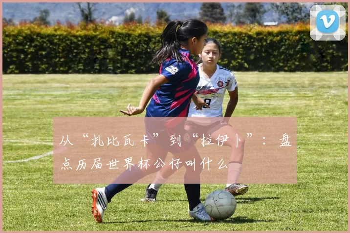从“扎比瓦卡”到“拉伊卜”:盘点历届世界杯公仔叫什么